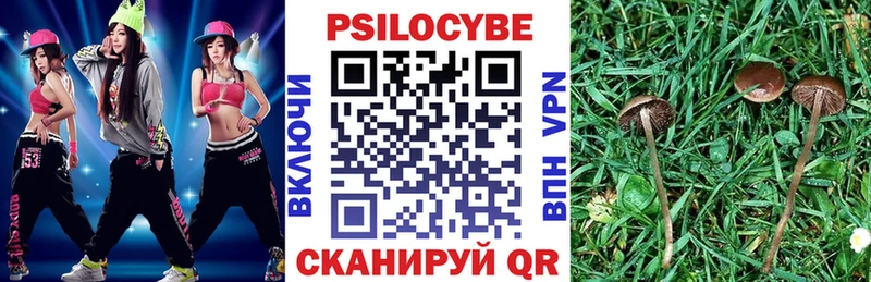 ссылка на мегу сайт  Ивантеевка  Галлюциногенные грибы Psilocybine cubensis  наркотики 
