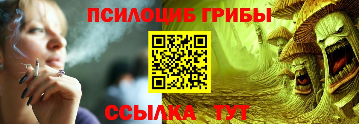Ивантеевка  Галлюциногенные грибы MAGIC MUSHROOMS  Вход с VPN  Псилоцибиновые грибы ЛСД 